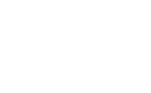 Vero's Logo